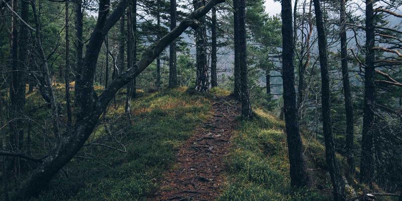 工程质量检测与安全评估：筑牢建筑安全防线的三大核心环节