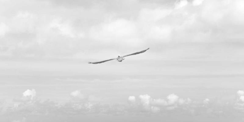 工程质量检测是什么？中尔合检测为您解析安全评估的核心价值