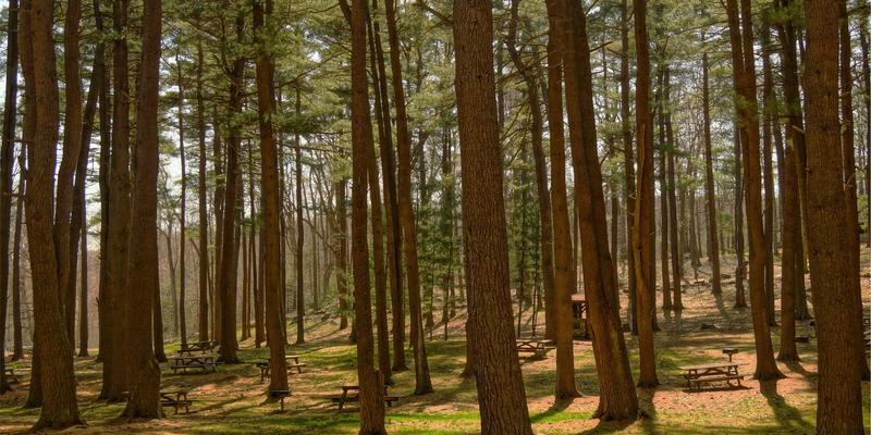 工程质量检测最佳实践：建筑检测、安全评估与工程鉴定的核心策略
