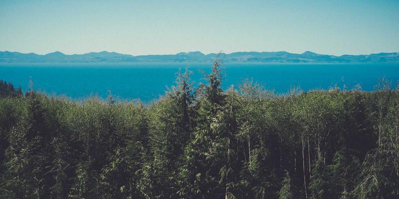 建筑外墙保温系统粘结强度与抗冲击性能现场检测技术解析 | 中尔合检测