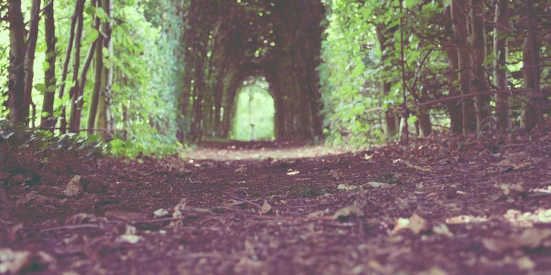 建筑室内环境污染物检测全解析：甲醛、氨、氡、TVOC标准与方法 | 中尔合检测工程鉴定指南