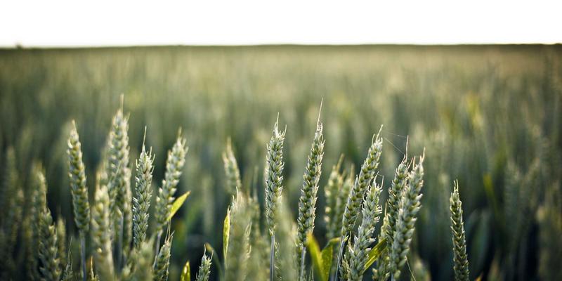 建筑检测必备：混凝土强度回弹法技术要点与数据准确性提升方法 | 中尔合检测