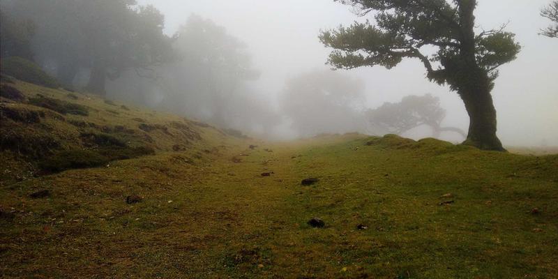 建筑给排水及采暖工程管道压力与系统功能检测标准：确保工程质量与安全评估的核心