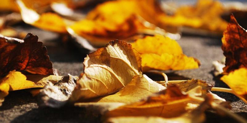 筑牢工程根基：建筑材料进场检验规范与安全评估、质量检测的关键要点